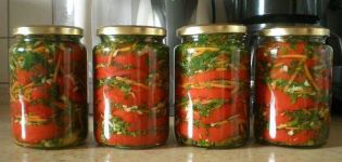 14 bedste trinvise opskrifter til fremstilling af paprika til vinteren