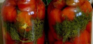 Ricette semplici per preparare cetrioli sottaceto con cime di carote per l'inverno