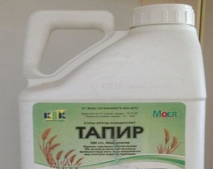 Herbicido Tapir naudojimo instrukcijos, veikimo mechanizmas ir vartojimo procentai