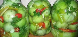 TOP 20 recetas simples de bocadillos de tomate verde para el invierno