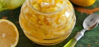 6 besten Schritt-für-Schritt-Zucchini-Marmeladenrezepte mit Zitrone und Orange