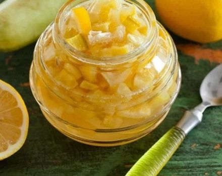 6 meilleures recettes de confiture de courgettes étape par étape au citron et à l'orange