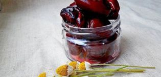 Step-by-step recipe for pickled plum snack like olives for the winter