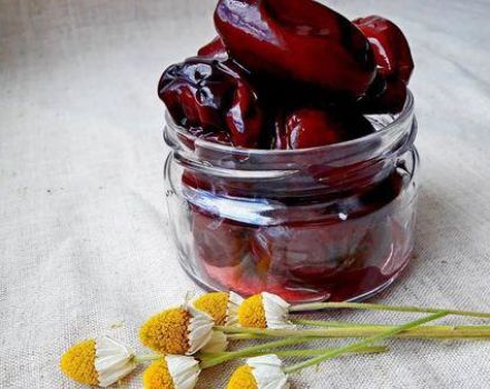 Ang sunud-sunod na recipe para sa pickled plum snack tulad ng olibo para sa taglamig