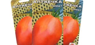 Descripción de la variedad de tomate Altayechka y sus características.