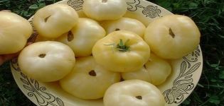 Opis odrody paradajok Creme Brulee, vlastnosti pestovania a starostlivosť o ne