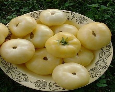 Descrizione della varietà di pomodoro Creme Brulee, caratteristiche di coltivazione e cura