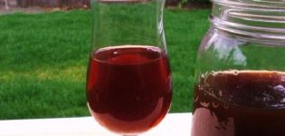 5 yksinkertaista reseptiä yoshta-viinin valmistamiseksi kotona
