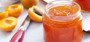 Recipe para sa paggawa ng aprikot na jam na may pectin para sa taglamig