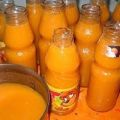 A simple recipe for apricot juice with pulp for the winter at home