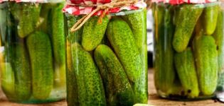 11 hurtige madlavningsopskrifter på krydret saltede agurker