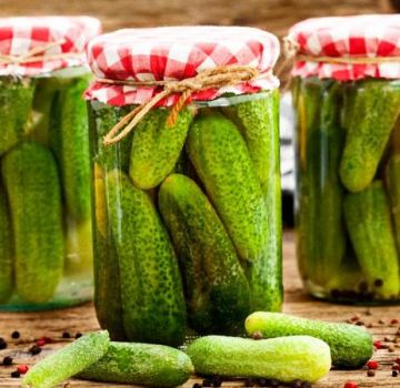 11 quick cooking recipes for spicy salted cucumbers