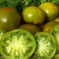 Domates çeşidinin özellikleri ve tanımı Emerald apple, verimi