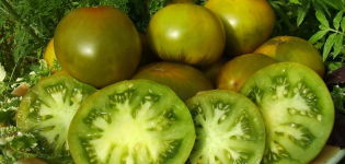 Kenmerken en beschrijving van de tomatenvariëteit Smaragdgroene appel, de opbrengst