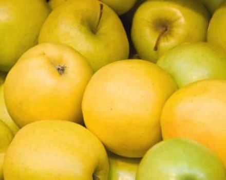 Sonbahar-kış elma çeşidi Limonka'nın tanımı ve temel özellikleri