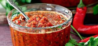 2 công thức nấu ăn ngon nhất cho món adjika với ngò và cà chua