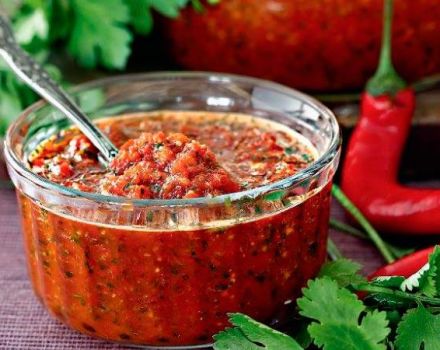 2 công thức nấu ăn ngon nhất cho món adjika với ngò và cà chua