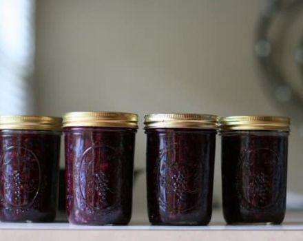 Simple recipes for making jelly for the winter from blueberries