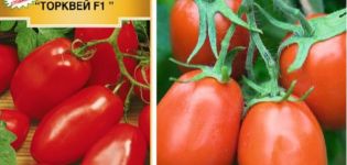 Torquay domates çeşidinin tanımı ve özellikleri