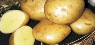 Beschreibung der Kartoffelsorte Gulliver, Merkmale des Anbaus und des Ertrags