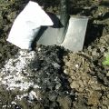 Trąšų amonio sulfato naudojimo sode instrukcijos