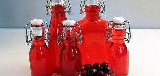 6 enkle opskrifter til fremstilling af frisk tranebærvin derhjemme