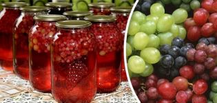 A simple recipe for grape juice at home for the winter