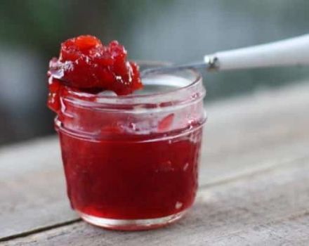 A simple recipe for making bird cherry jam for the winter