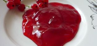 Schritt-für-Schritt-Rezept für die Herstellung von Marmelade aus schwarzen und roten Johannisbeeren