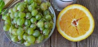9 best step-by-step gooseberry orange jam recipes for the winter