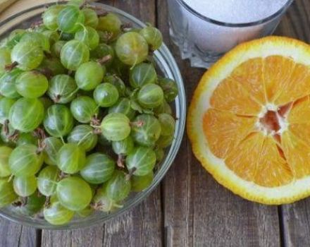 9 pinakamagandang gooseberry orange jam step-by-step na mga recipe para sa taglamig