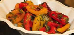 TOP 11 recepten voor het koken van paprika met knoflook voor de winter