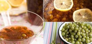 Una semplice ricetta passo-passo per uva spina al limone per l'inverno senza cottura