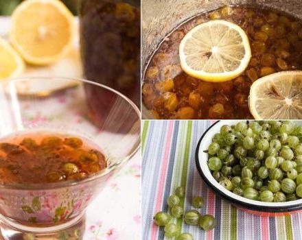 Een eenvoudig stap-voor-stap recept voor kruisbessen met citroen voor de winter zonder koken