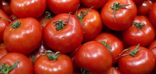 Bistrenok domates çeşidinin özellikleri ve tanımı, verimi