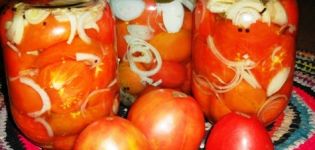 Công thức nấu ăn phổ biến cho cà chua cho mùa đông ở Séc bạn sẽ liếm ngón tay