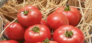 Descripción de la variedad de tomate Erofeich rosa, características de cultivo y cuidado.