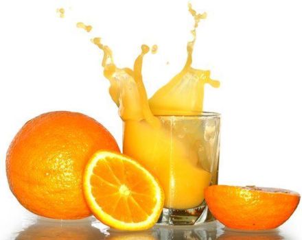 TOP 10 ricette per preparare il succo d'arancia per l'inverno a casa