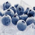 Kā pareizi sasaldēt mellenes ziemai mājās ledusskapī
