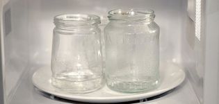 Hogyan kell a fedőket és az üvegeket megfelelő módon sterilizálni a mikrohullámú sütőben