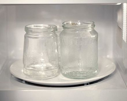 So sterilisieren Sie Deckel und Gläser für Wintermarmelade in der Mikrowelle richtig
