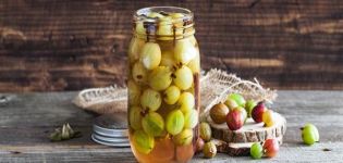 13 migliori ricette per fare gli spazi vuoti di uva spina per l'inverno