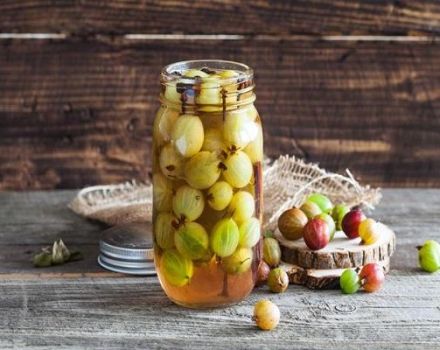 13 migliori ricette per fare gli spazi vuoti di uva spina per l'inverno