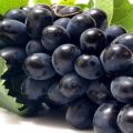 Vantaggi e svantaggi dell'uva Charlie, descrizione della varietà e coltivazione