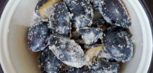 Is it possible to freeze plums for the winter and how to do it correctly in the freezer, with sugar and with a bone