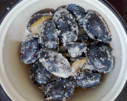 És possible congelar prunes per a l’hivern i com fer-ho correctament al congelador, amb sucre i amb un os