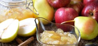 TOP 7-recept för att göra päron- och äpplesylt till vintern