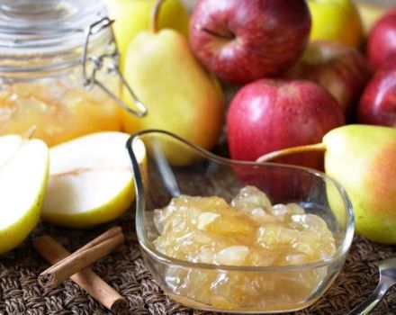 Kış için armut ve elma reçeli yapmak için en iyi 7 tarif