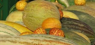Opis odrôd melónov s názvami, aké sú odrody