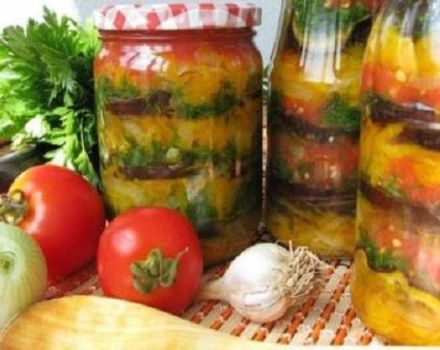 9 najlepších receptov na výrobu arménskeho občerstvenia na zimu
